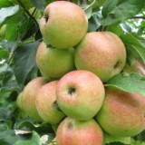 1208F 073 Neckar-Radweg